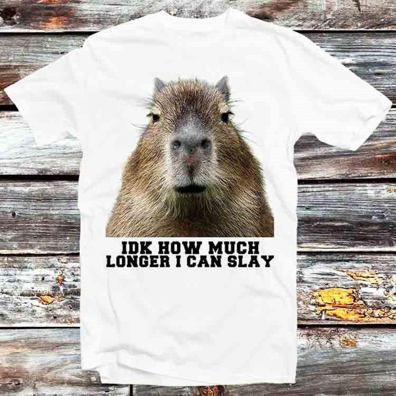 Idk How Much Longer I Can Slay Capybara Sarcastic Dank Meme T Shirt Vintage Retro Cool Gift Unisex Cartoon Anime Top Tee B798