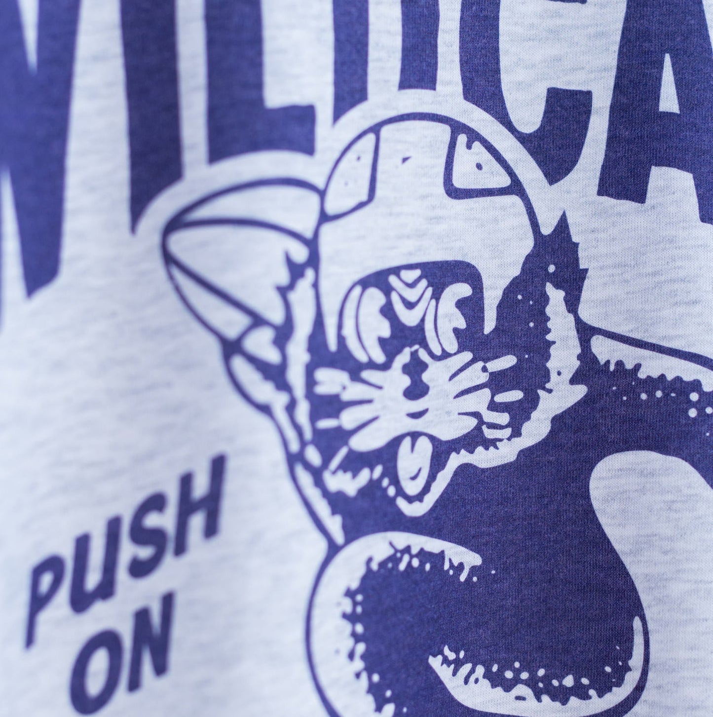 Vintage Northwestern Wildcats “Push On” Tee Style001