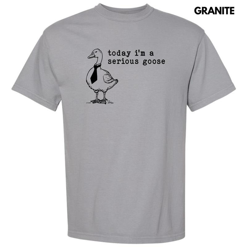 Serious Goose Comfort Colors T-Shirt 'NLB'