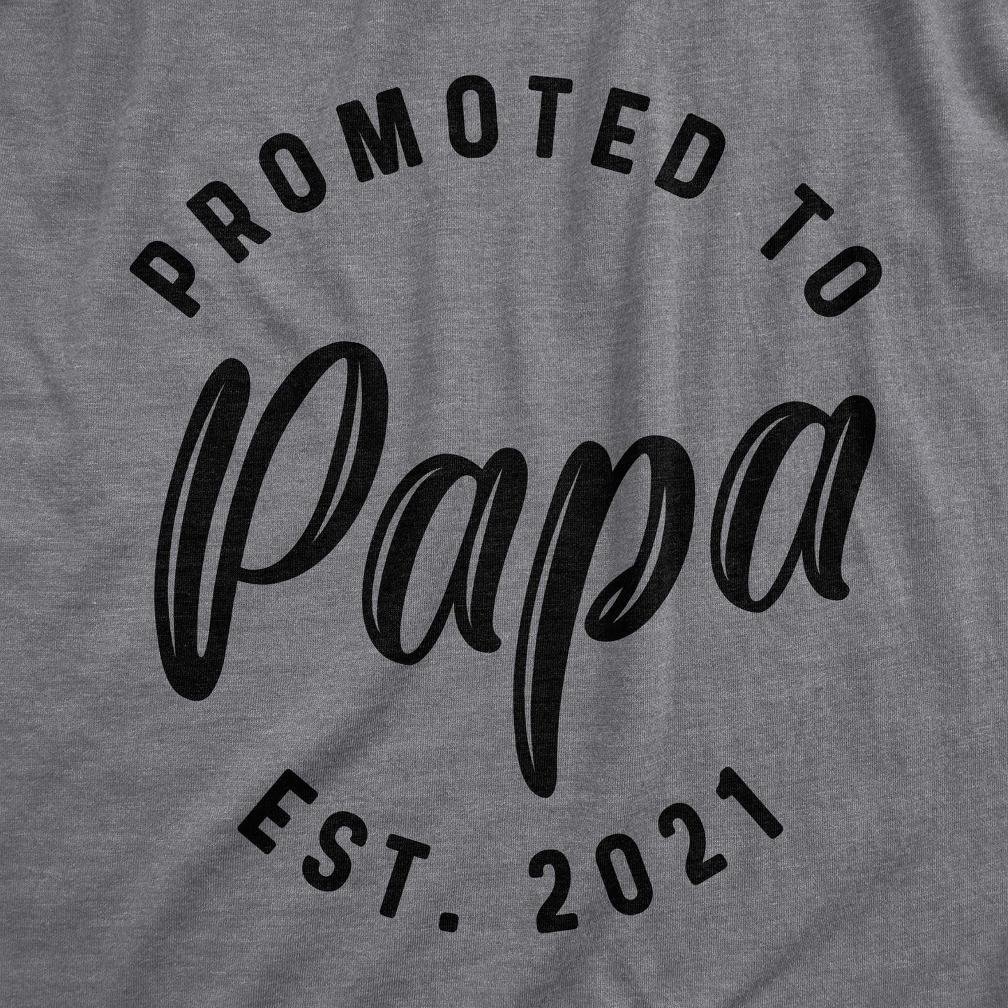 Crazy Dog Mens Shirts Promoted to Papa Grandpa or Uncle 2025 2024 or 2023 Funny Fathers Day Tees
