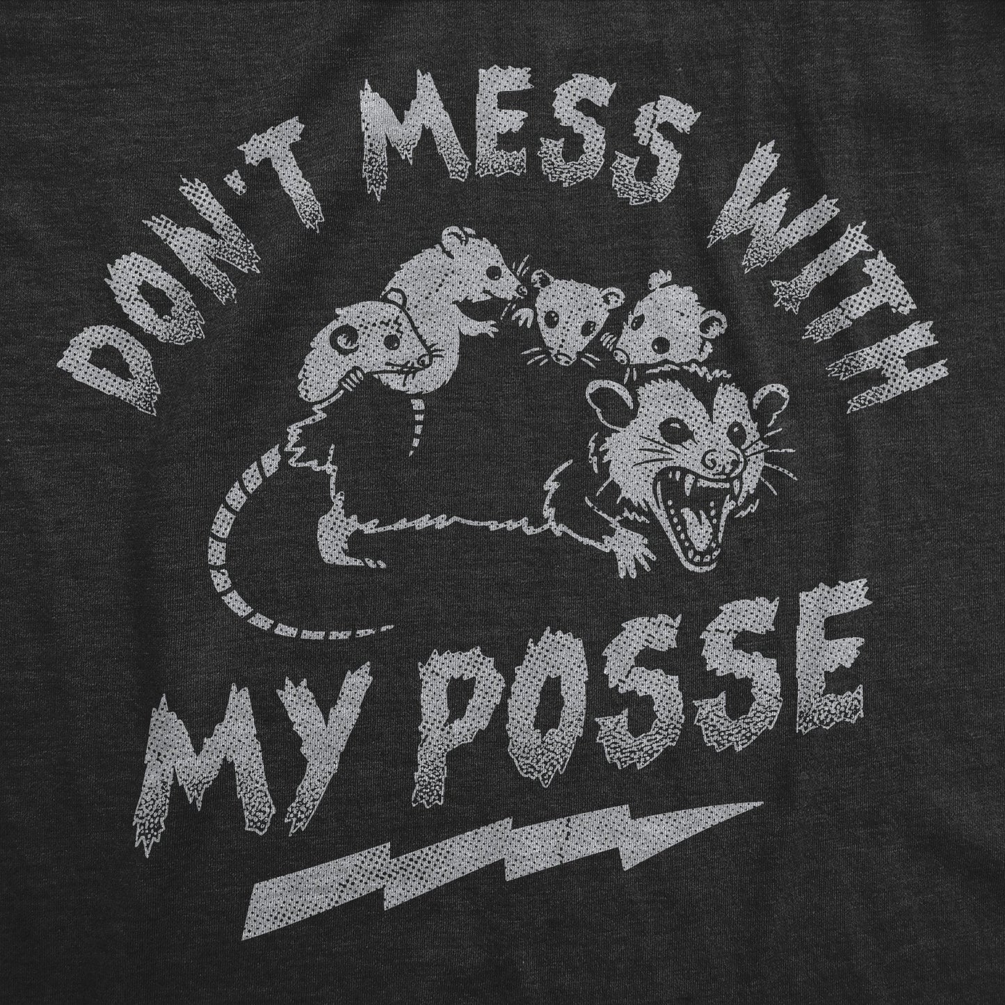 Dont Mess With My Posse Women's T Shirt
