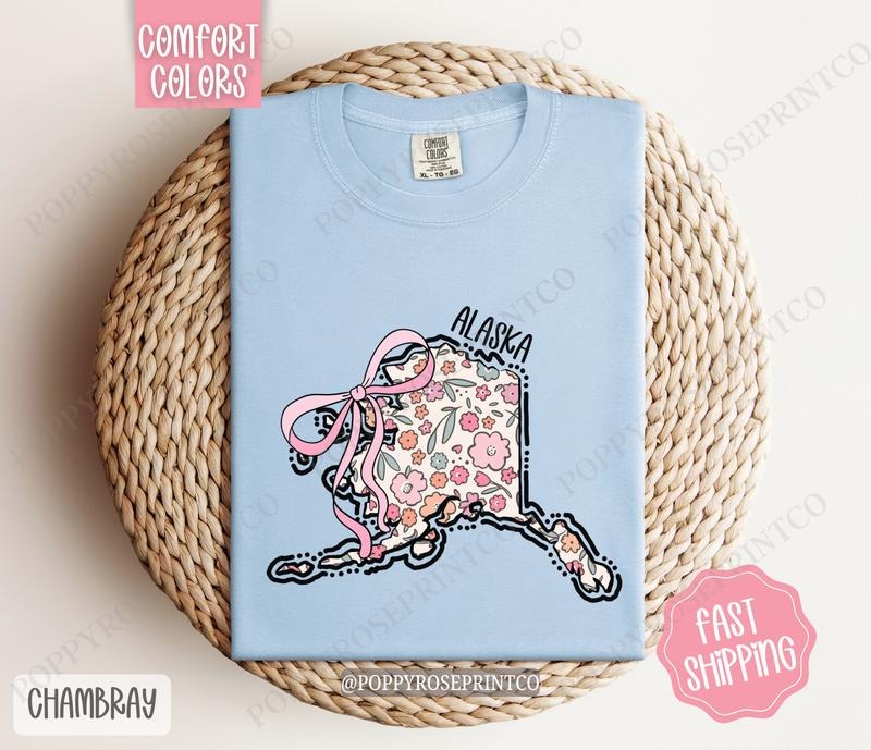 Alaska Comfort Color State Tshirt, Cute Alaska Shirt, Alaska Tshirt, Alaska Shirt