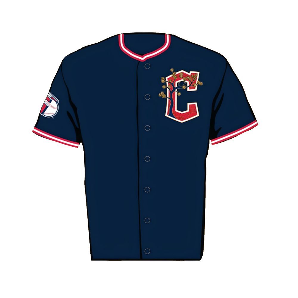 Asian American Pacific Islander Celebration Guardians Jersey Giveaway 2025 - Grishko.com