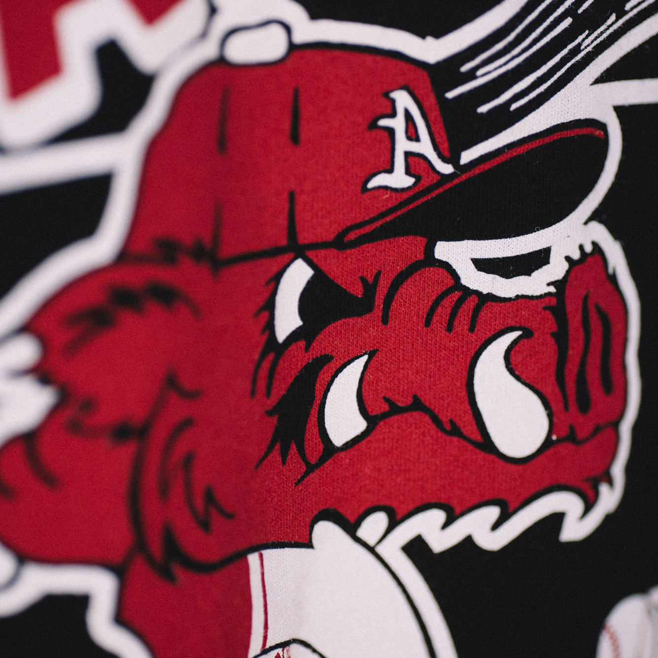 Arkansas Diamond Hogs Vintage Tee Style001