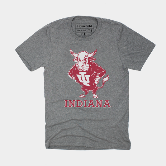 Vintage IU Bison Tee Style001