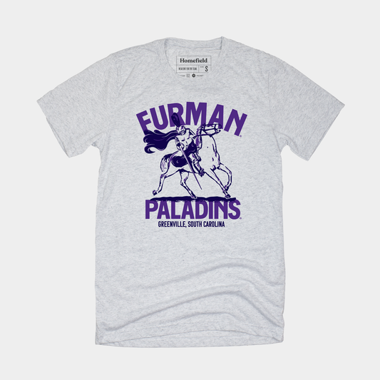 Vintage Furman Paladins Tee Style001