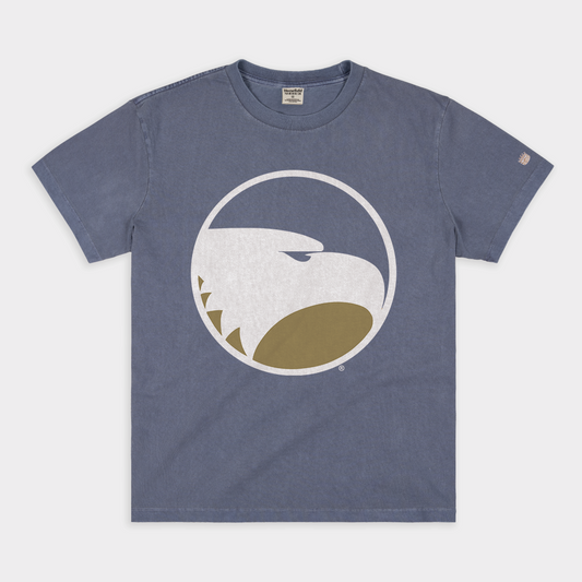 Georgia Southern Eagles Logo Vintage Heavyweight Tee Style001
