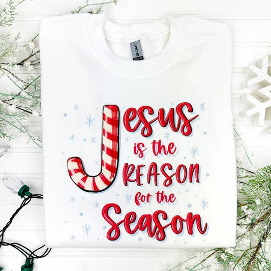 Jesus Is The Reason Sweatshirt