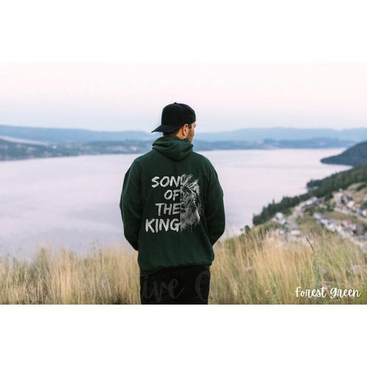 Men's Christian Hoodie Bible Verse Hoodie Christian Merch Men Christian Sweatshirt Jesus Hoodie Christian Bible Verse Apparel Christian  T-shirt, sweater and Hoodie