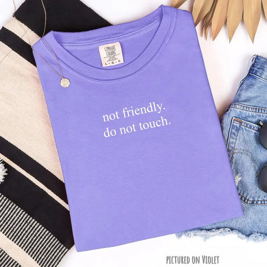 Minimalist Not Friendly Do Not Touch T-Shirt, Comfort Colors Shirt, Funny Oversized Unisex Fit Shirts, Vintage Streetwear, Cute Tshirts