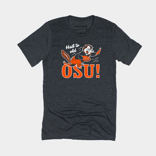 Vintage Hail to Old OSU Football Beaver Tee Style001