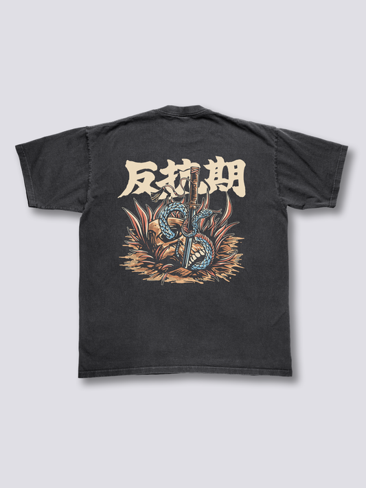 Rebellion Vintage T-Shirt