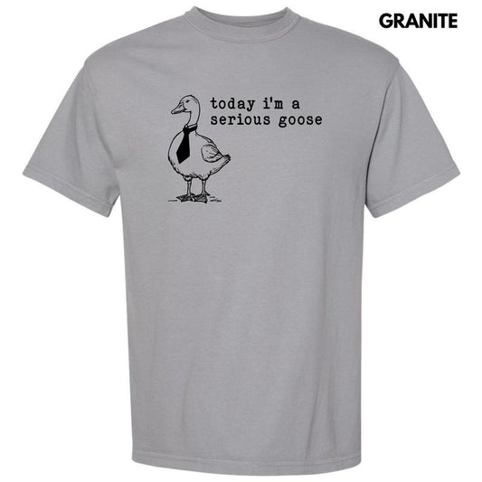 Serious Goose Comfort Colors T-Shirt 'NLB'