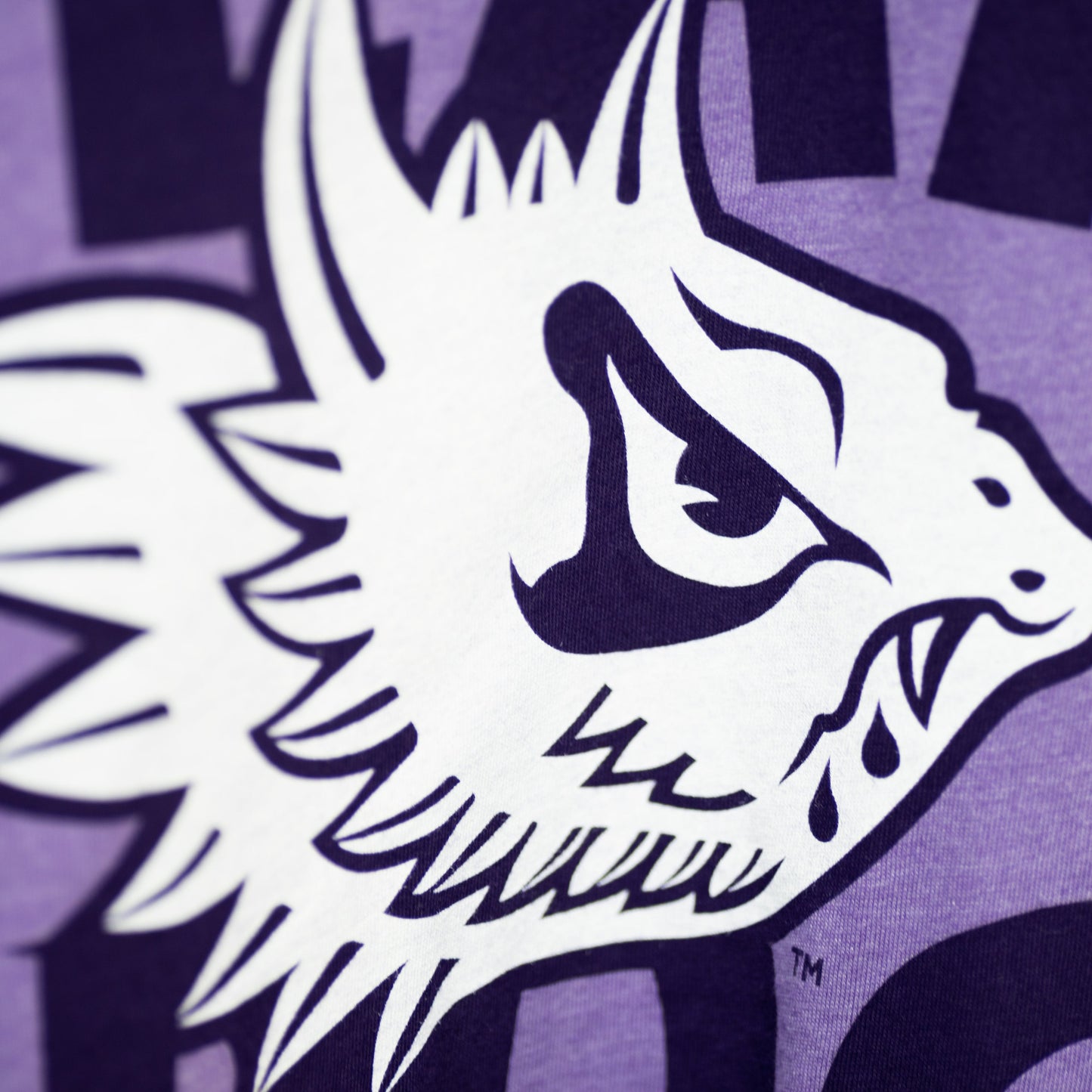 TCU Fear the Frog Vintage Tee Style001
