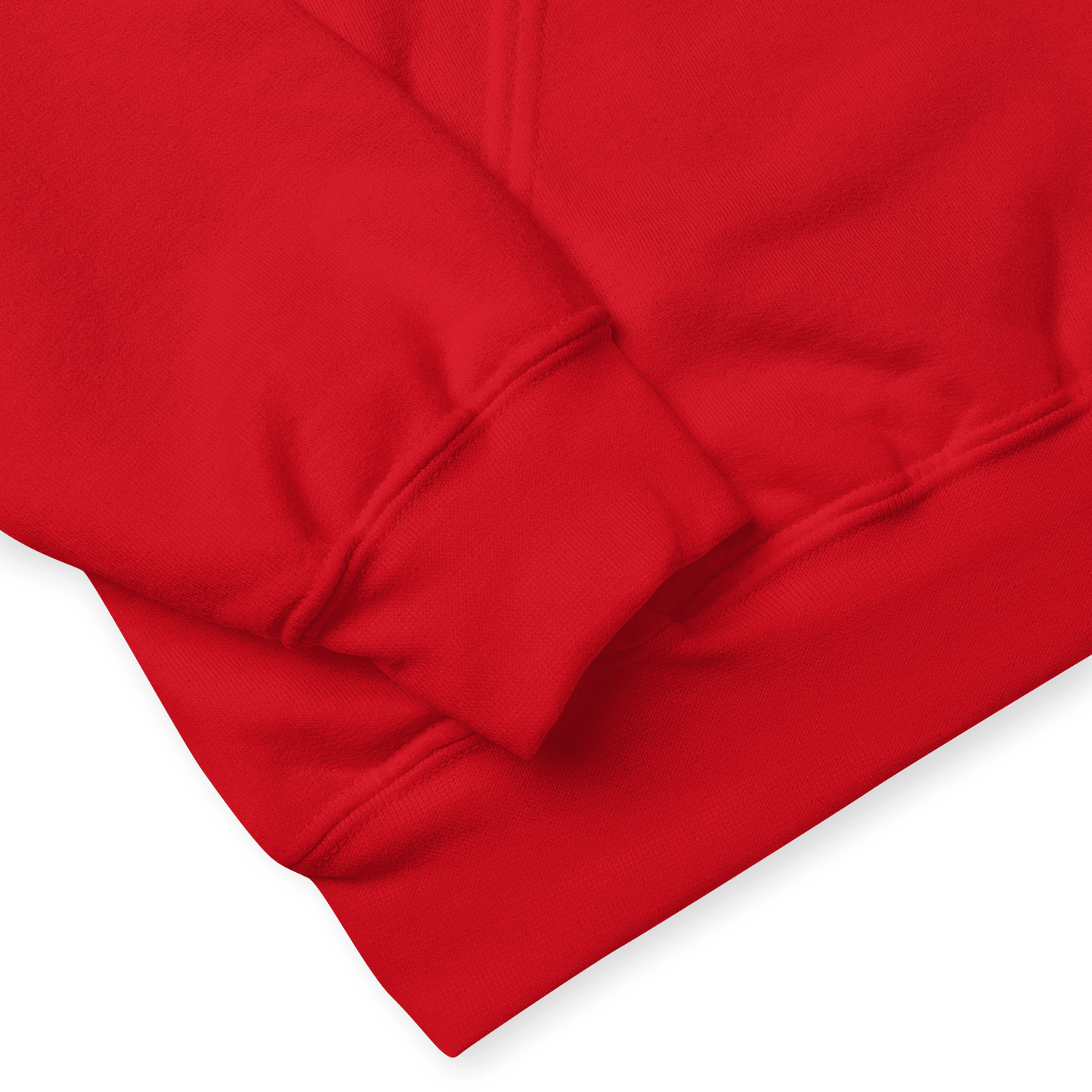 Bad Religion Any Worse Hoodie