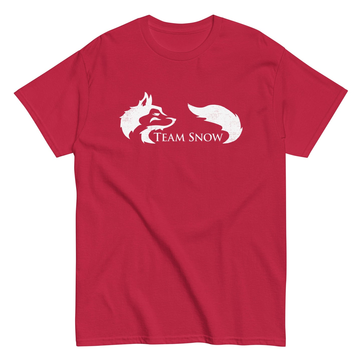 Team Snow Men's Classic Tee
