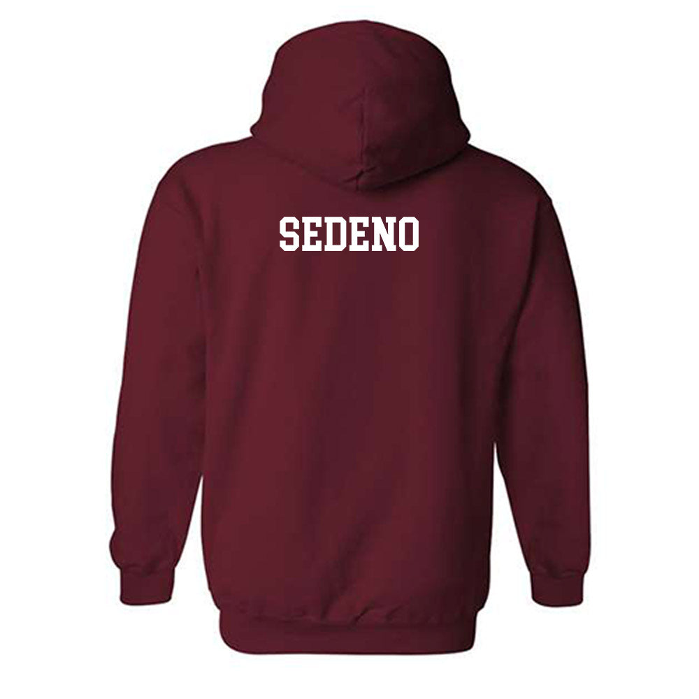Alabama - Mens Golf Alumni : Josh Sedeno - Classic Shersey Hooded Sweatshirt